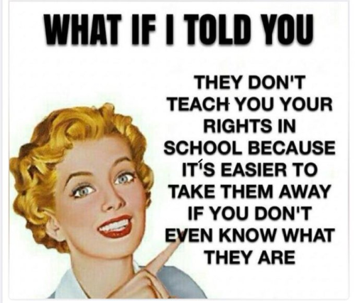 image_2024-12-01_100046772