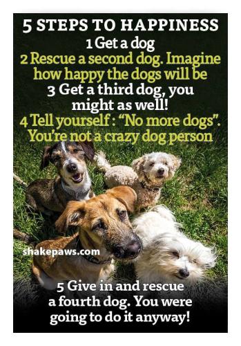 57dfb3cd58ad358290173e07e641b4c4