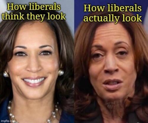 image_431EF4DB-E910-4B79-9FD8-7E6EF8A26249