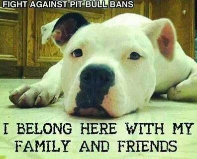 d7f5057258718db99d84853e47029ba9