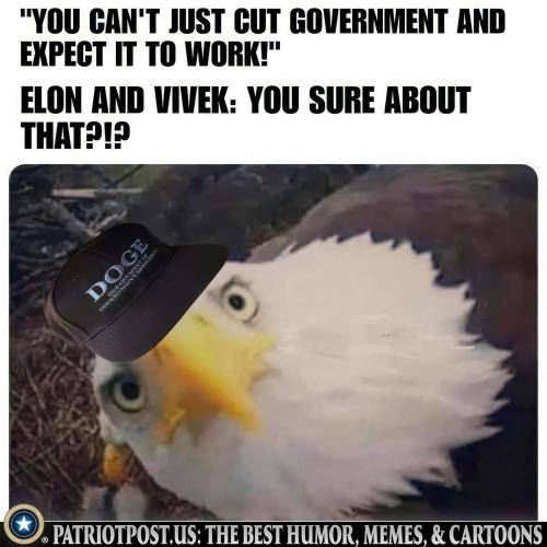 01JEQN1BYVP80HYD9QDQBYGPQ0