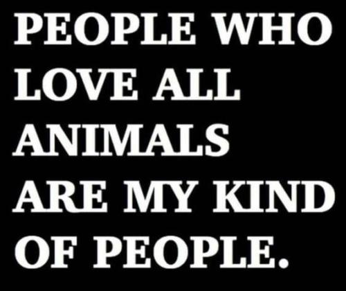 9807fd1313018724c9e59eff7bbf2c2e