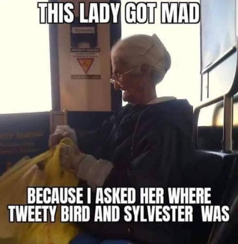 da101993f905ae73f2e6b703250e8558