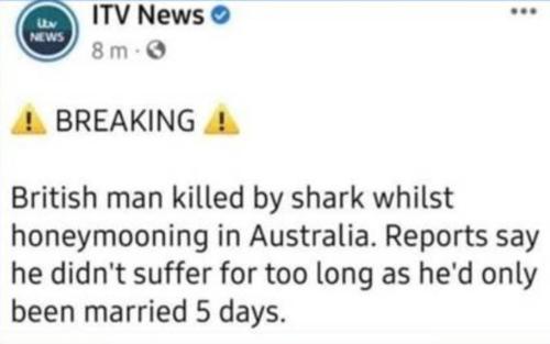 image_018E52C4-A4FE-47CB-A0A1-2CE91BEF5285