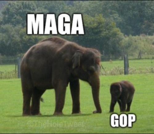 d4d57b24-e135-469f-937c-d0ddfc3ceb54