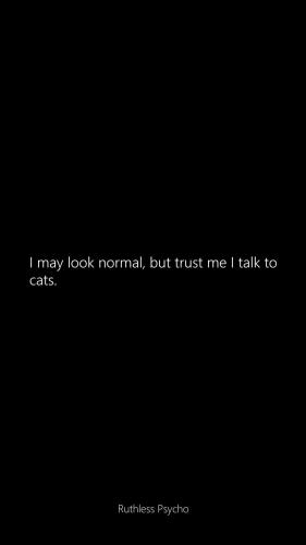 FB_IMG_1735155838311