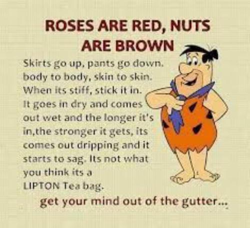 image_711AD893-8092-4681-AB72-B5EC1EA15781