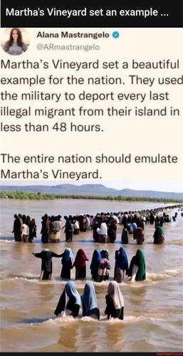 cae31919ff71c9330d67c002435994d06b7a9cb82290ce593b11c6e27a9b5bc8_1