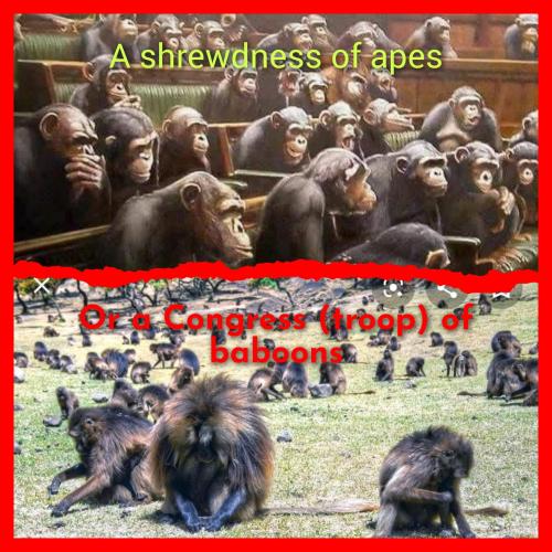 GridArt_20241220_110605926