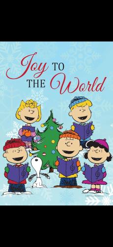 Screenshot_20241225_092639_Gallery