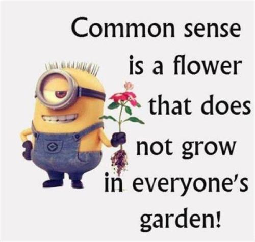 Common Sense