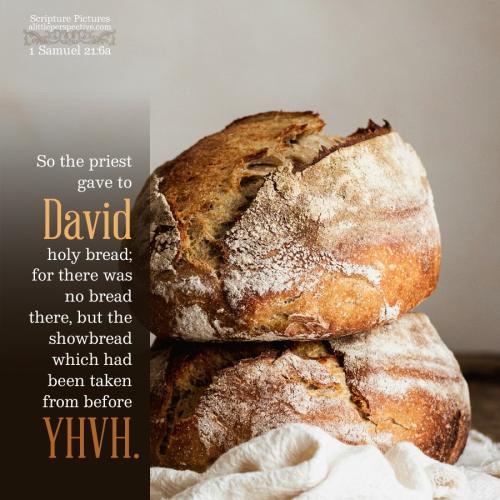 1-sam-21-6a-JPS-unsplash