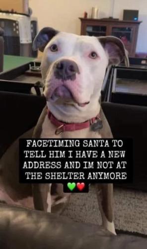 4C2F7276-FEC4-45F3-9617-D50CAEE4CEEA