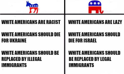 IMG_20241229_100055_671