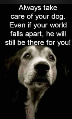 c5b971d3f9530044ab0c1edbfc57ba5e