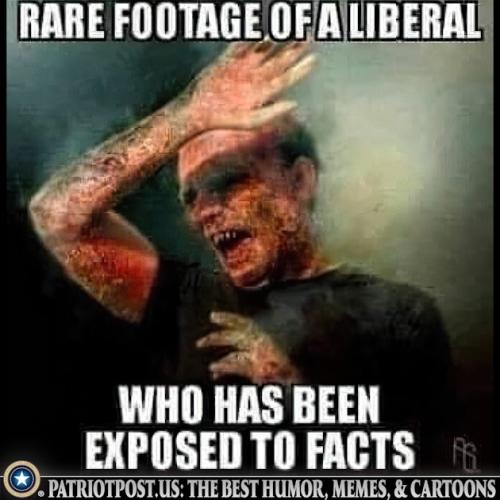 01JF1VWK0QZRGME3Y67TA87KHY