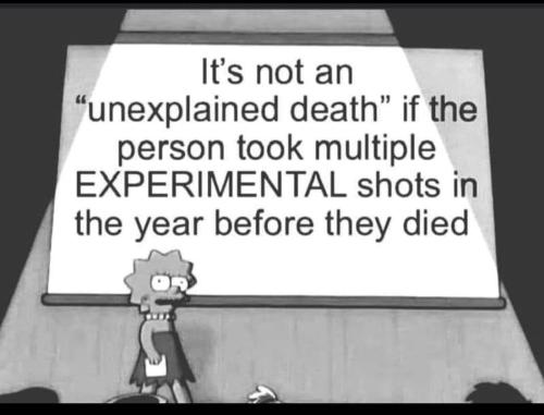 468295058_122218780676028776_3183289489177836248_n