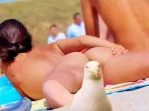 image_8C632D64-2533-486B-93AF-98DAF8D65206