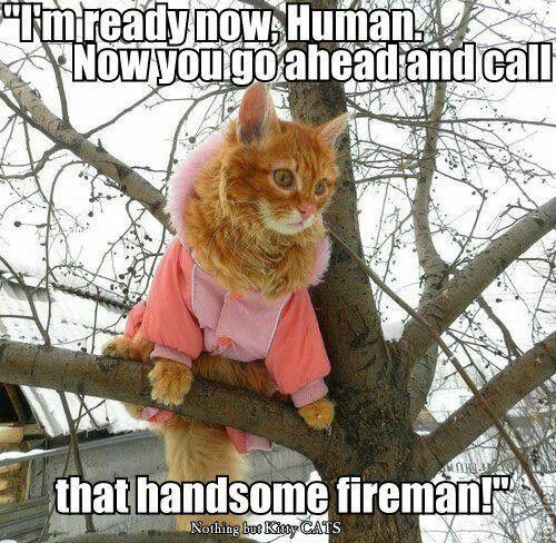 5d840f4b106b61c5d508d53aa8eb75e8