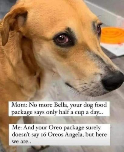 95AD43F2-F1C2-424D-B082-FAEB6515A508