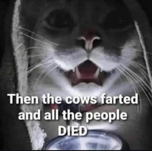 photo_2024-12-05_16-49-46