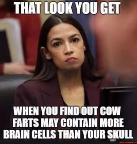 365f2d41b2bc95f6672d036880815f648001d6ed93dcd2fde0a0c53f866bd23f_1