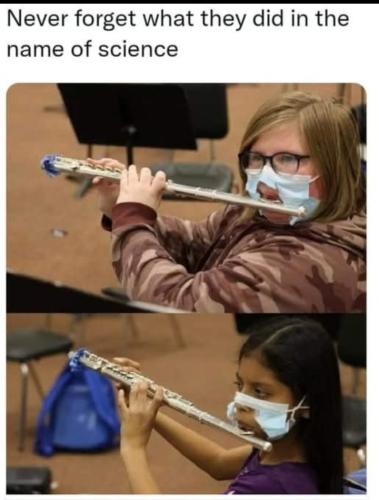 Screenshot_2024-12-05-09-38-46-25_a23b203fd3aafc6dcb84e438dda678b6