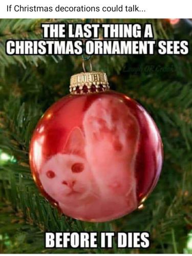 Screenshot_20241223_160614_Facebook