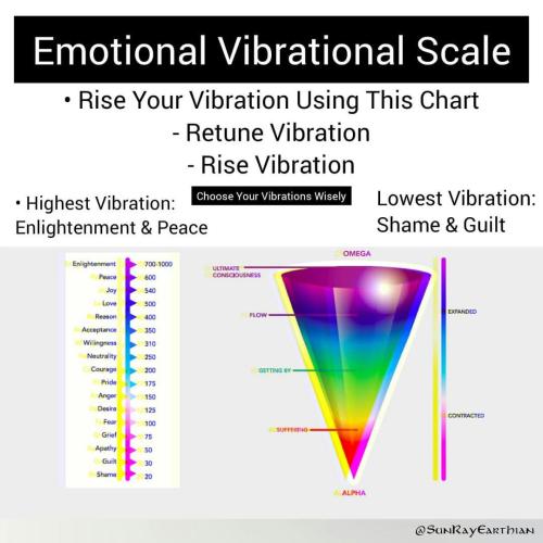 IMG_20241226_035215_342