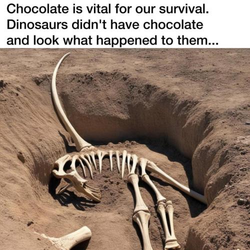 213CAB2A-24BA-4ACC-BA18-7299913D3002