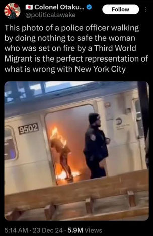 illegal immigration409