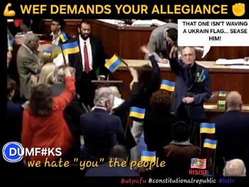 Screenshot_20241231_111850_Photo Editor