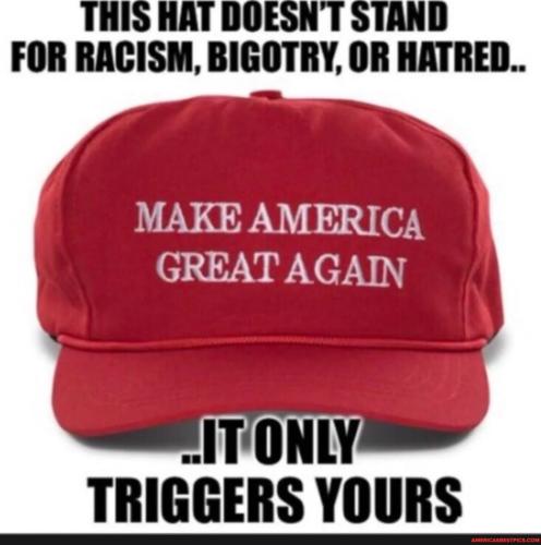 8a8664bcea264ca8e52918feb4e31c70d8928ad6354846fccbaa5a8707150fc7_1