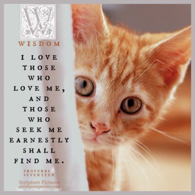 pro-8-17-JPS-mf-400x400