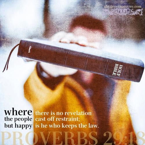 pro-29-18-unsplash-9x