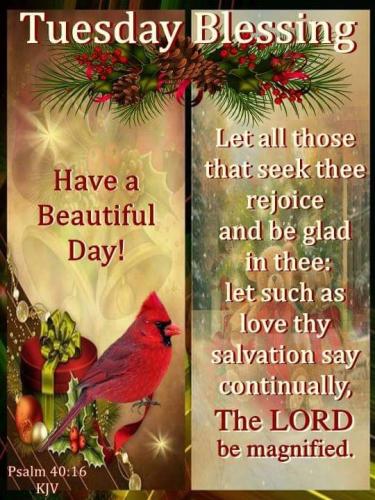 morning winter tuesday 3