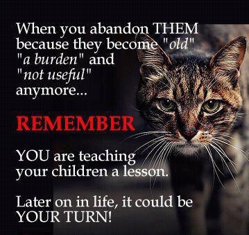 7d3fe0a5369edb032c7b6cdd11a599ec