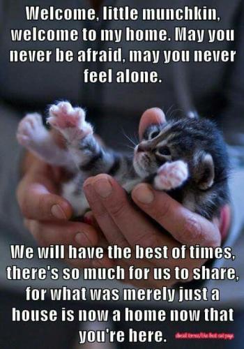 1862c2f2c235d9132a7f5d42e4f97b67