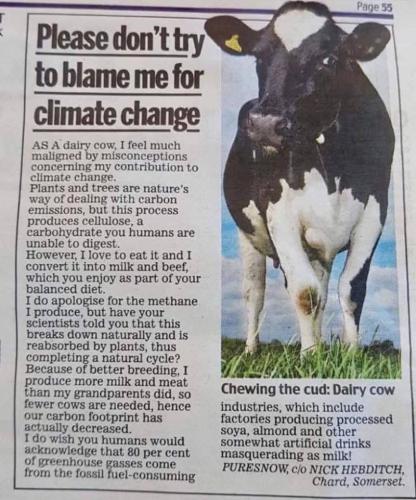 please dont blame me