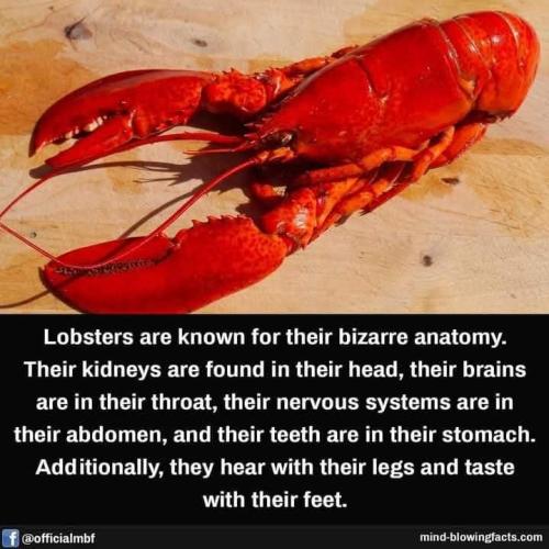 FB_IMG_1735101690455