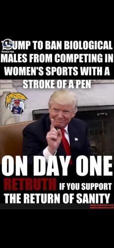 Screenshot_20241230_184925_Gallery