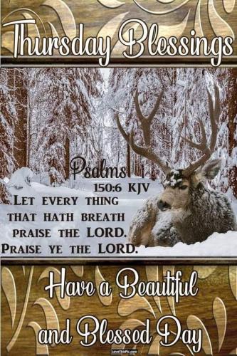 morning winter thursday 3