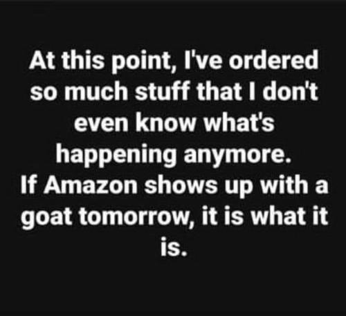 48F38B38-ED96-4721-A207-034D21FA4DD9