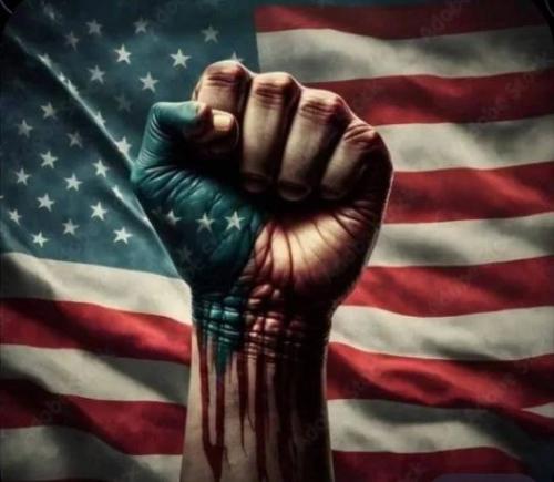 photo_2024-12-22_12-34-19