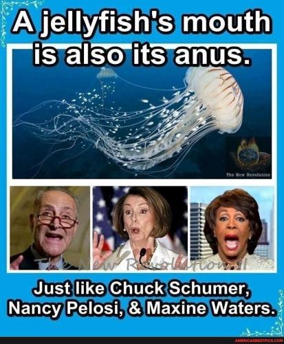 6ac0f59b-997c-4787-b755-4b1e031887f0