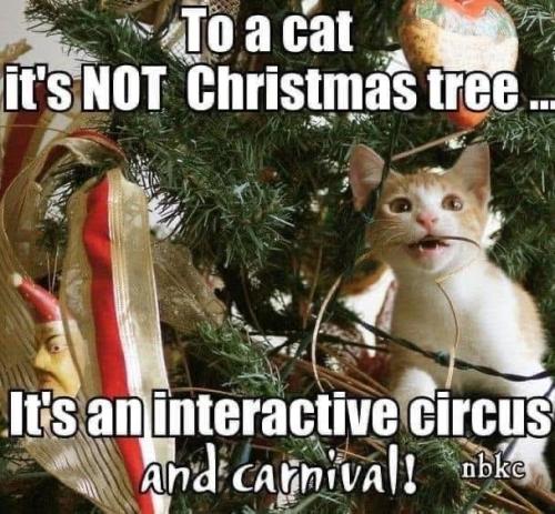 cat-s-not-christmas-tree-s-an-interactive-circus-and-carnival-bke