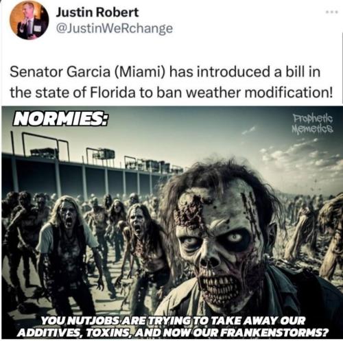 photo_2024-12-01_22-52-31