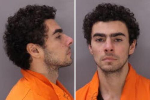 luigi-mangione-manifesto