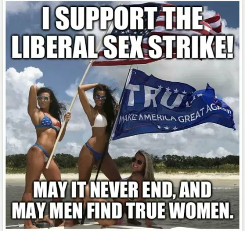 image_2024-12-05_061954764