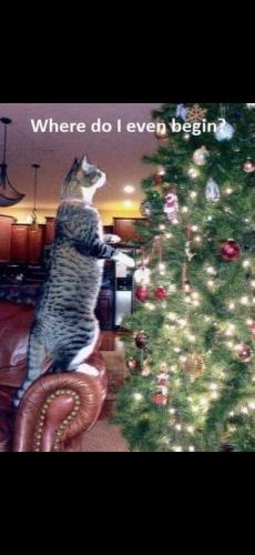 Screenshot_20241130_151328_Photos